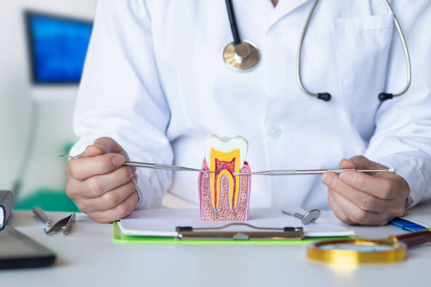 Best Emergency Care for Gum Disease in Glen Ridge, NJ